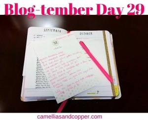 Blog-tember Day 29