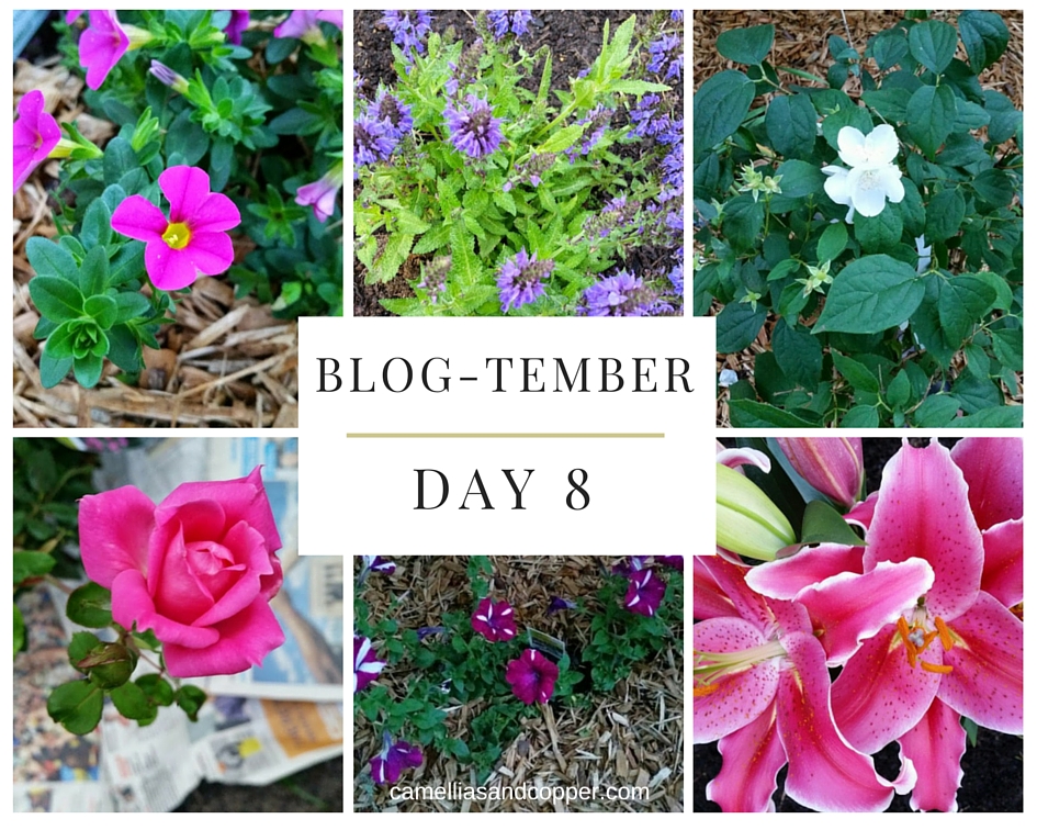 Blog-tember Challenge: Day 8