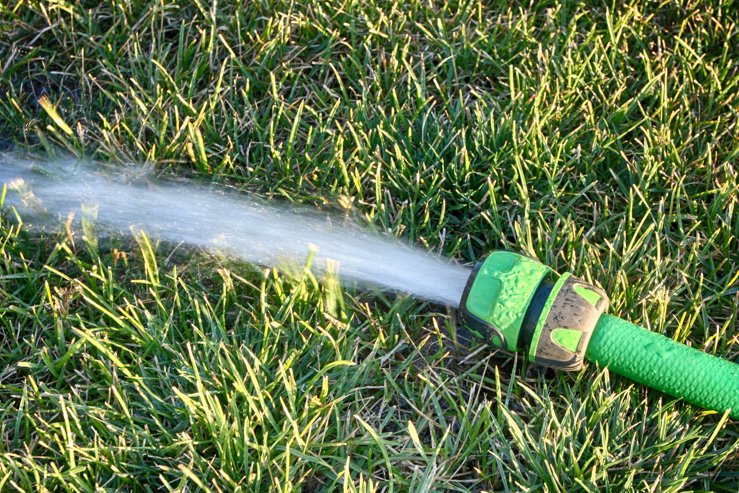 water hose watering grass