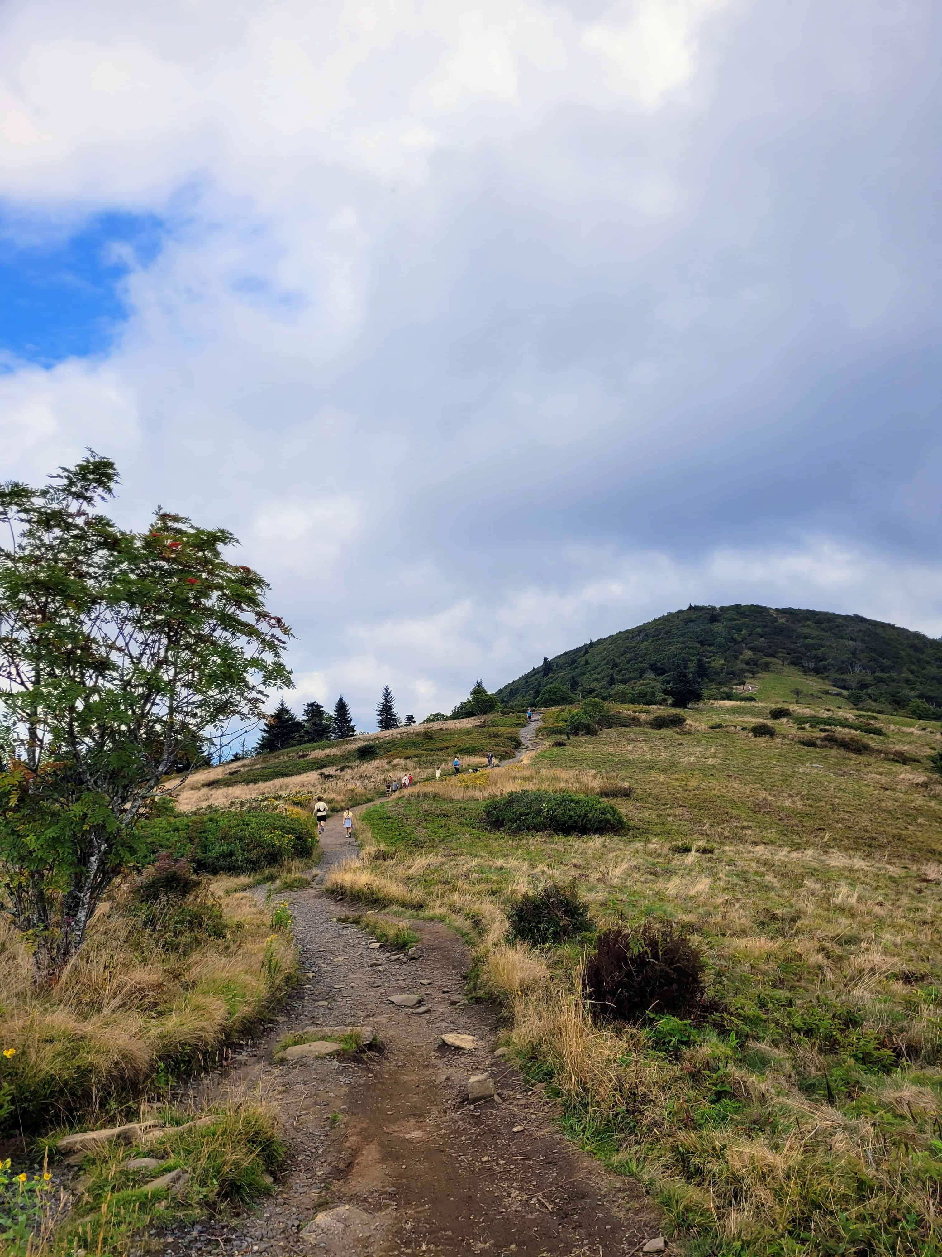 a rugged path on top of a large hill or mountain with people walking in the distance.